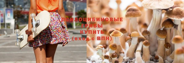 скорость Новодвинск