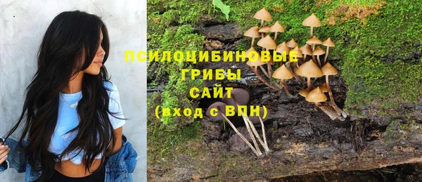 мефедрон мука Новозыбков