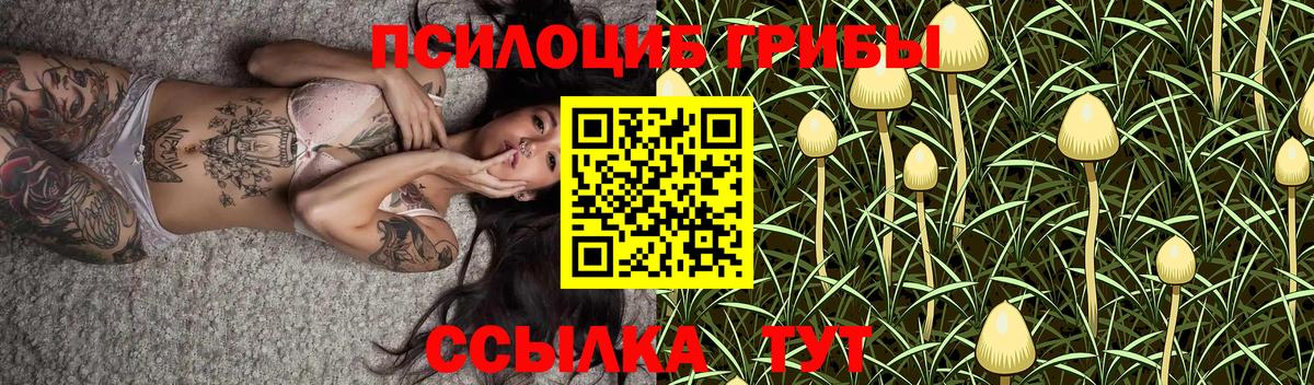 Галлюциногенные грибы прущие грибы Таганрог