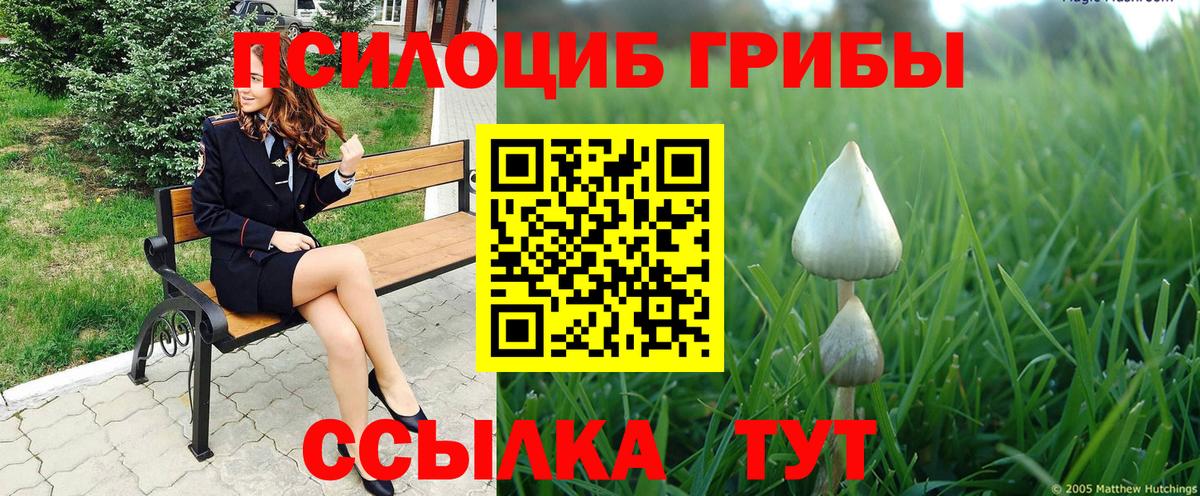 Галлюциногенные грибы Psilocybine cubensis Таганрог